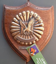 Plaque bronze gfca d'occasion  Toulon-