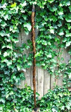 Hand carved aspen for sale  Whitehall