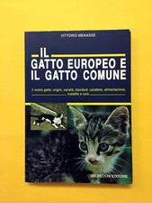 Gatto europeo gatto usato  Italia