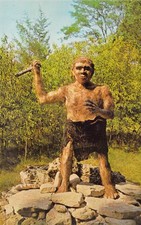 Cartão postal 1964 OH pré-histórico floresta dinossauro homem neandertal perfeito estado N85 comprar usado Cartão postal 1964 OH pré-histórico floresta dinossauro homem neandertal perfeito estado N85 comprar usado  Enviando para Brazil