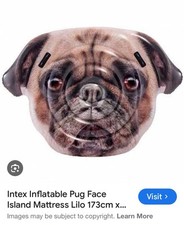 Intex pug face for sale  NOTTINGHAM