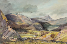 Alwyn crawshaw original for sale  COLWYN BAY