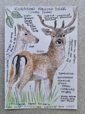 Aceo original illustration for sale  FAREHAM