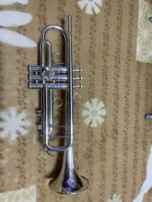 Trumpet model 3137 for sale  Shipping to Ireland