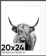 20x24 black frame for sale  Lakewood