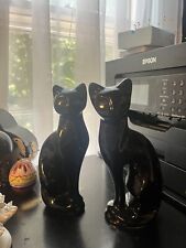 female siamese cat for sale female siamese cat for sale Dumfries