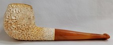pipe coral for sale pipe coral for sale Kennebunkport