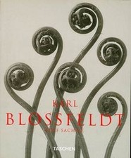 Karl blossfeldt photographs gebraucht kaufen  Berlin