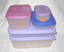 Tupperware eiszeit gefrierbeh� gebraucht kaufen  Freiensteinau