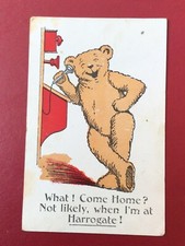 Early 1900s novelty for sale  BASINGSTOKE