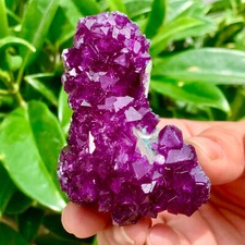 Cubo roxo transparente raro 76 g fluorita cristal mineral amostra/China, usado comprar usado  Enviando para Brazil
