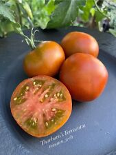 Tomate thornburn terracotta gebraucht kaufen  Berlin