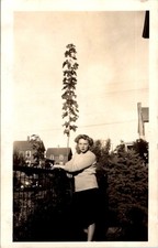 Foto de cerca de elo corrente quintal plantando mudas de árvore mulher suburbana década de 1950, usado comprar usado  Enviando para Brazil