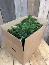 Festive foliage box for sale  WISBECH