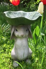 Vogeltränke hase blatt gebraucht kaufen  Friedberg