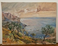 Atonio asturi dipinto usato  Cicciano