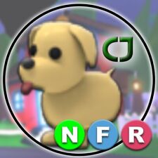 Dog nfr adopt for sale  Candler