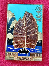 Insigne émail indochine d'occasion Insigne émail indochine d'occasion  Nantes-