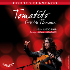 Jeu cordes guitare d'occasion  Sarreguemines