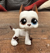 Littlest pet shop for sale  Washington