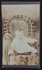 Antique cdv photograph for sale  Clearwater