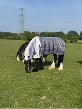Ruggles heavy horse for sale  WATERLOOVILLE