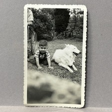 Foto encontrada vintage criança brincando com cachorro pastor suíço branco fora, usado comprar usado  Enviando para Brazil