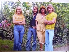 Abba fan club gebraucht kaufen  Zschopau