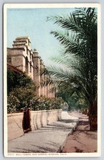 California san gabriel for sale  USA