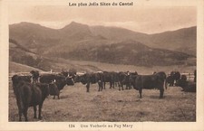 Vacherie puy mary d'occasion  Vasles