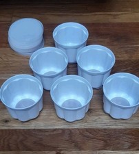 Individual dessert jelly for sale  READING