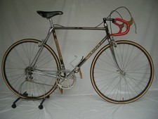 Show bike scapin usato  Spedire a Italy