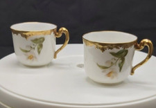 Demitasse cups c1907 for sale  Leesburg