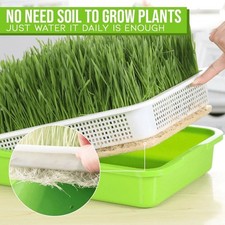 Plastique vert germination d'occasion  Expédié en France