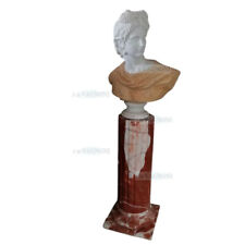 Busto apollo con usato  San Benedetto del Tronto