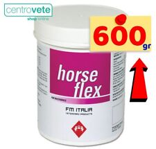 Horse flex 600 usato  Arborea