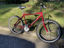 Raleigh firefly mountain for sale  CHRISTCHURCH