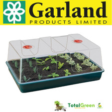 Serretta germinazione semi usato  Carpi