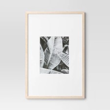 Matted x 14 for sale  USA