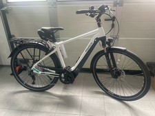 Pegasus premio evo gebraucht kaufen  Bodenmais