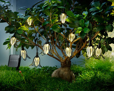 Solar lichterkette flora gebraucht kaufen  Bruck