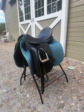 County fusion dressage for sale  Aiken
