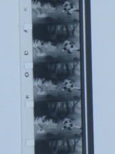 1930 looney tunes for sale  New York