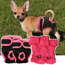 Washable female dog for sale  GAINSBOROUGH