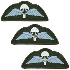 Airborne para wings d'occasion  Expédié en Belgium