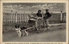 Gaspe coast quebec for sale  Sandusky