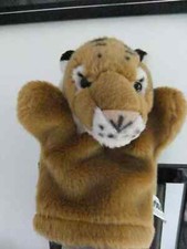 Elgate ginger cat for sale  LEICESTER