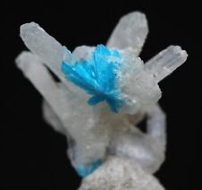 Rare cavansite stilbite for sale  Tucson