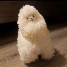 100 real alpaca for sale  Marion