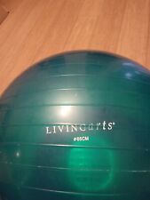 Living arts 65cm for sale  Hollywood